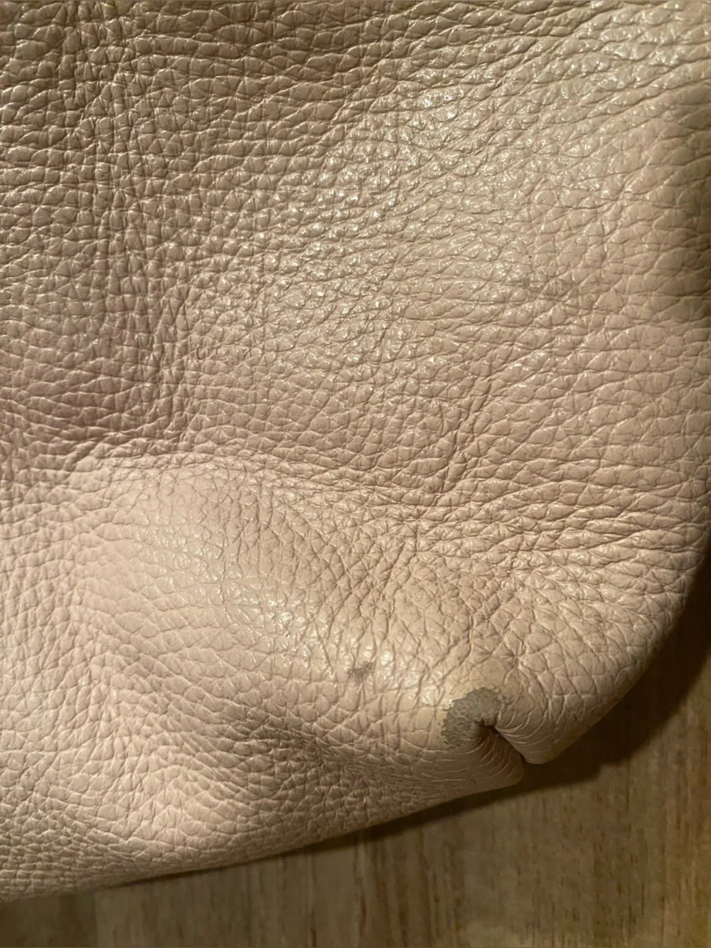 Cuyana Classic Nude Leather Tote Bag - AS IS